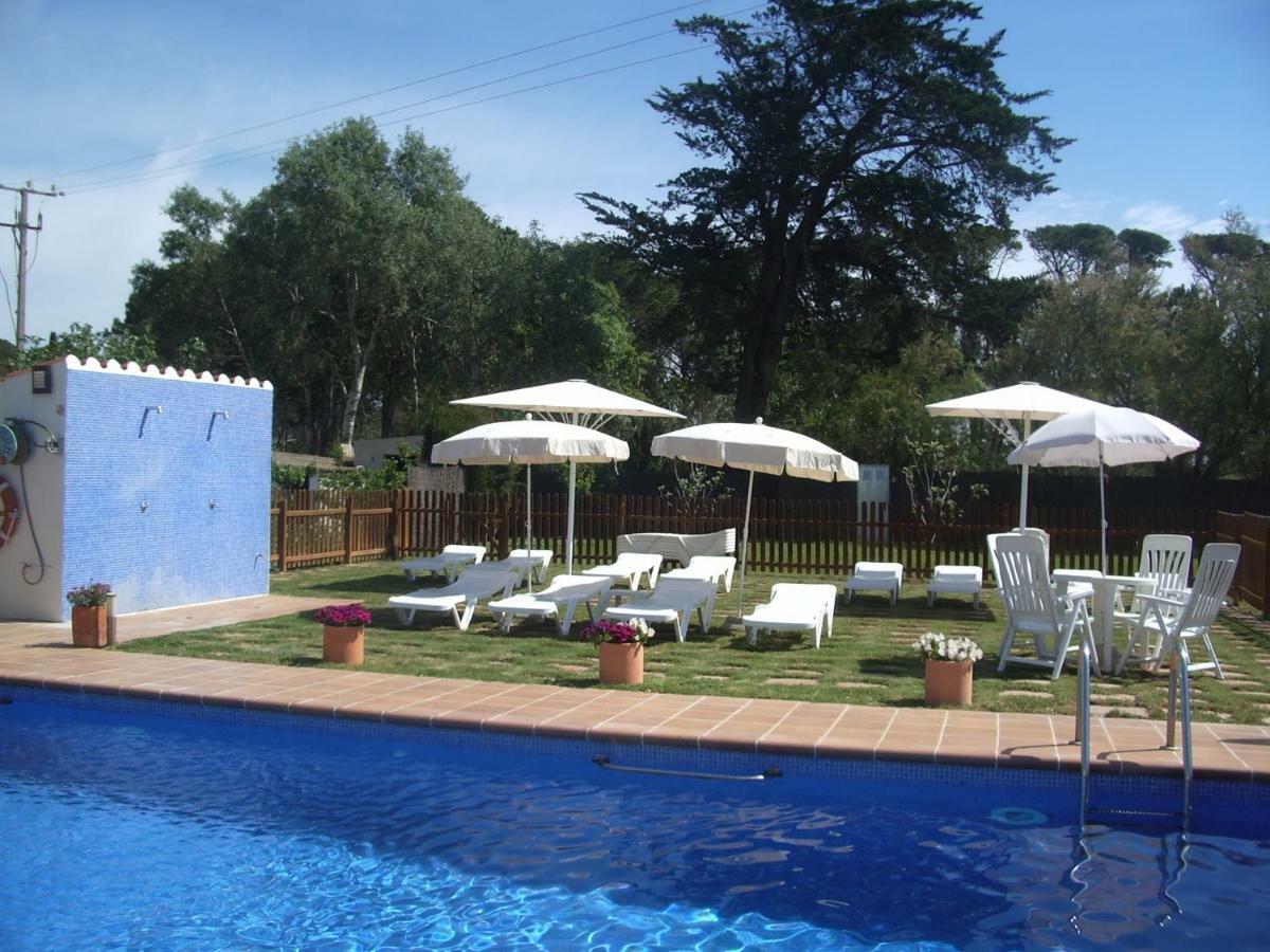 La Palmera Plaza Apartment