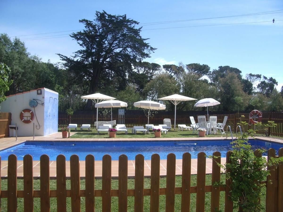 Apartment La Palmera Plaza