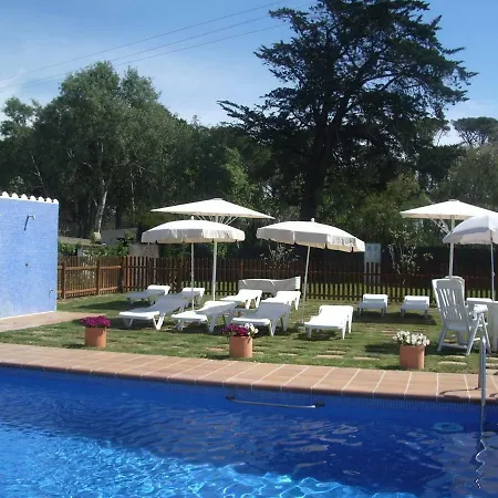 Apartamento La Palmera Plaza Sant Marti d'Empuries Exterior photo